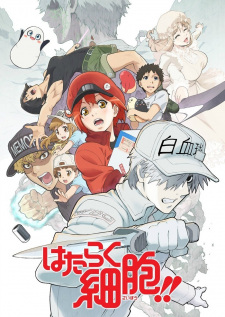 Anime Hataraku Saibou (SS1-2)