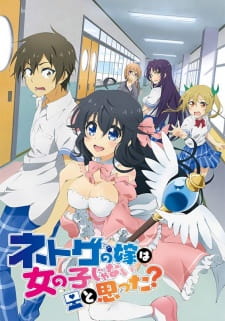 Anime Netoge no Yome wa Onnanoko ja Nai to Omotta